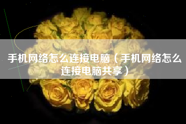 手机网络怎么连接电脑(手机网络怎么连接电脑共享)