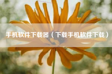 手机软件下载器(下载手机软件下载)