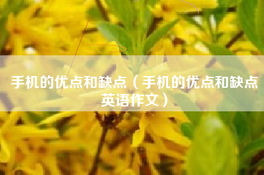 手机的优点和缺点(手机的优点和缺点英语作文)